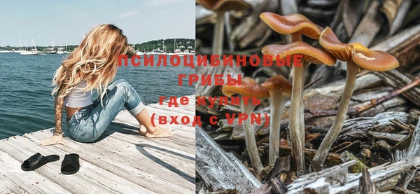 экстази Алексин