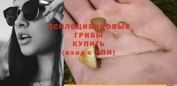 экстази Алексин