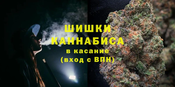 ГАЛЛЮЦИНОГЕННЫЕ ГРИБЫ Алексеевка